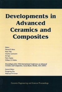 Developments in Advanced Ceramics and Composites