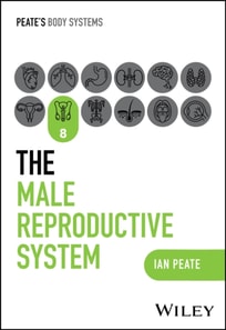 Male Reproductive System