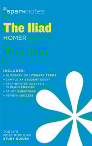 Iliad SparkNotes Literature Guide