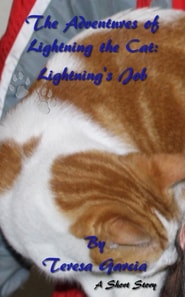 Adventures of Lightning the Cat: Lightning's Job