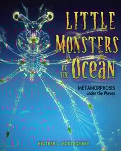 Little Monsters of the Ocean
