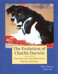 Evolution Of Charlie Darwin