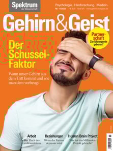 Gehirn&Geist 11/2023 Der Schussel-Faktor