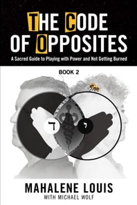 Code of Opposites-Book 2