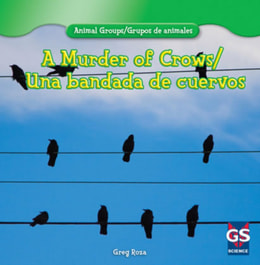 Murder of Crows / Una bandada de cuervos