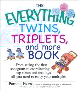 Everything Twins, Triplets, and More Book