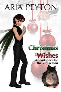 Christmas Wishes - A short story for the silly season