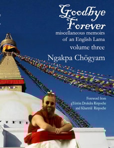 Goodbye Forever - Volume Three