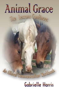 Animal Grace - An Ethical Communication Workbook