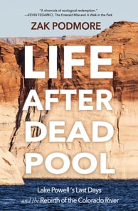 Life After Dead Pool