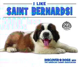 I Like Saint Bernards!