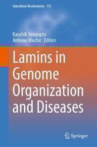 Lamins in Genome Organization and Diseases