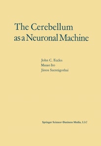 Cerebellum as a Neuronal Machine