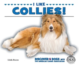 I Like Collies!