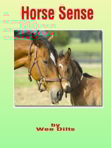 Horse Sense