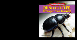 Dung Beetles: Stronger Than Ten Men!