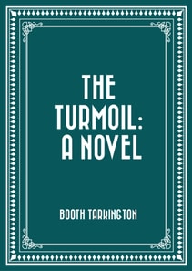 Turmoil: A Novel