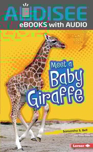 Meet a Baby Giraffe