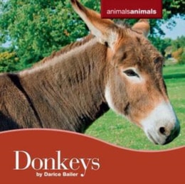 Donkeys