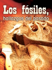 Los fosiles, hallazgos del pasado