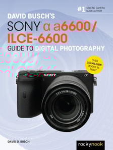 David Busch's Sony Alpha a6600/ILCE-6600 Guide to Digital Photography