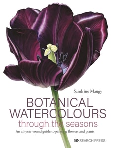 Botanical Watercolours Through the Seasons