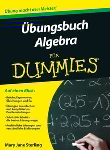 Ubungsbuch Algebra fur Dummies