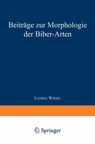 Beiträge zur Morphologie der Biber-Arten