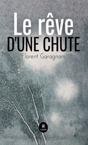 Le reve d'une chute