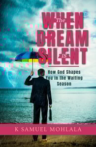 When the Dream is Silent: How God Shapes You in the Waiting Season