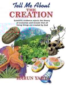 Tell Me About the Creation