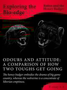 Odours And Attitude: A Comparison Of How Two Toughs Get Going