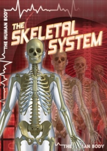 Skeletal System