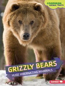 Grizzly Bears