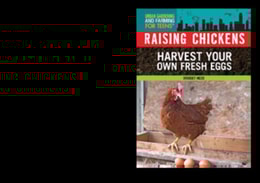 Raising Chickens