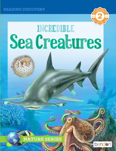 Incredible Sea Creatures