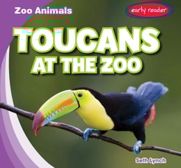 Toucans at the Zoo