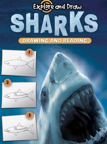 Sharks, Drawing and Reading