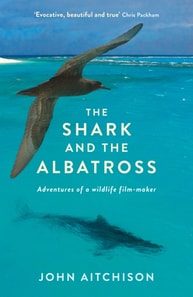 Shark and the Albatross