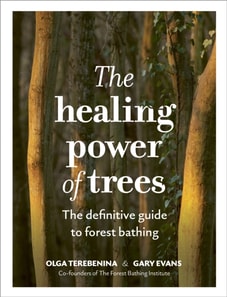 Healing Power of Trees