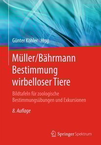 Müller/Bährmann Bestimmung wirbelloser Tiere