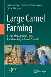 Large Camel Farming