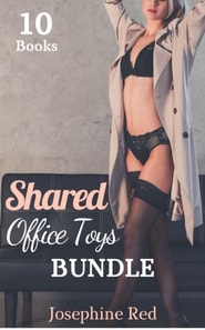 Shared Office Toys Bundle