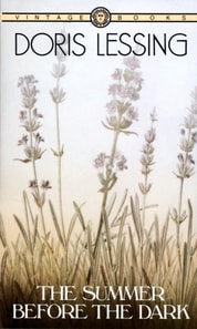 Summer Before the Dark