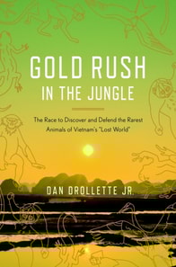 Gold Rush in the Jungle