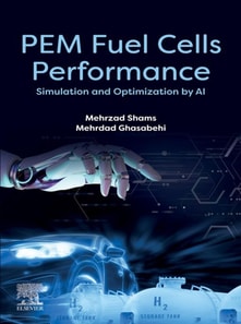PEM Fuel Cells Performance