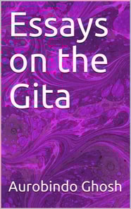 Essays on The Gita