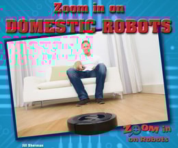 Zoom in on Domestic Robots