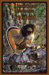 Journey Toward Environmental Stewardship