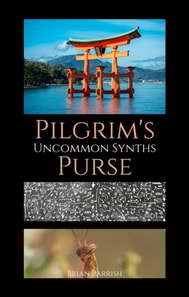 Pilgrim's Purse: Uncommon Synths